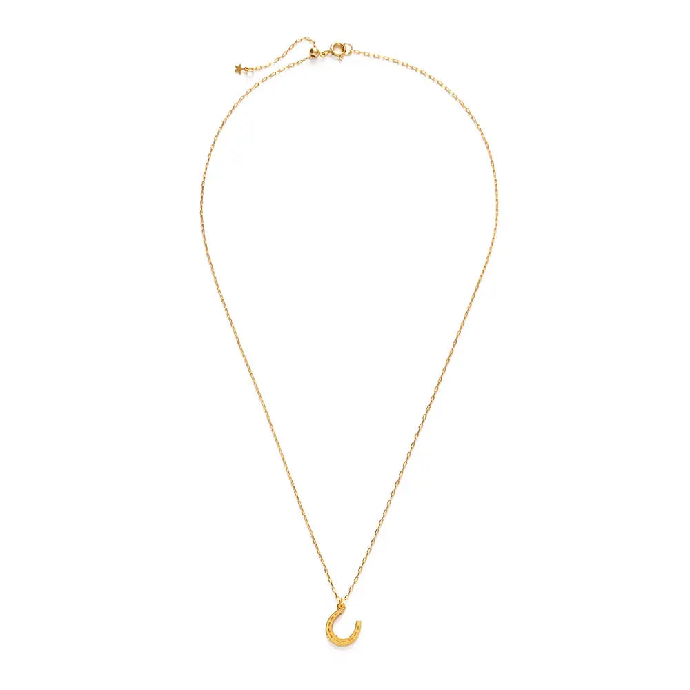 Horseshoe Necklace