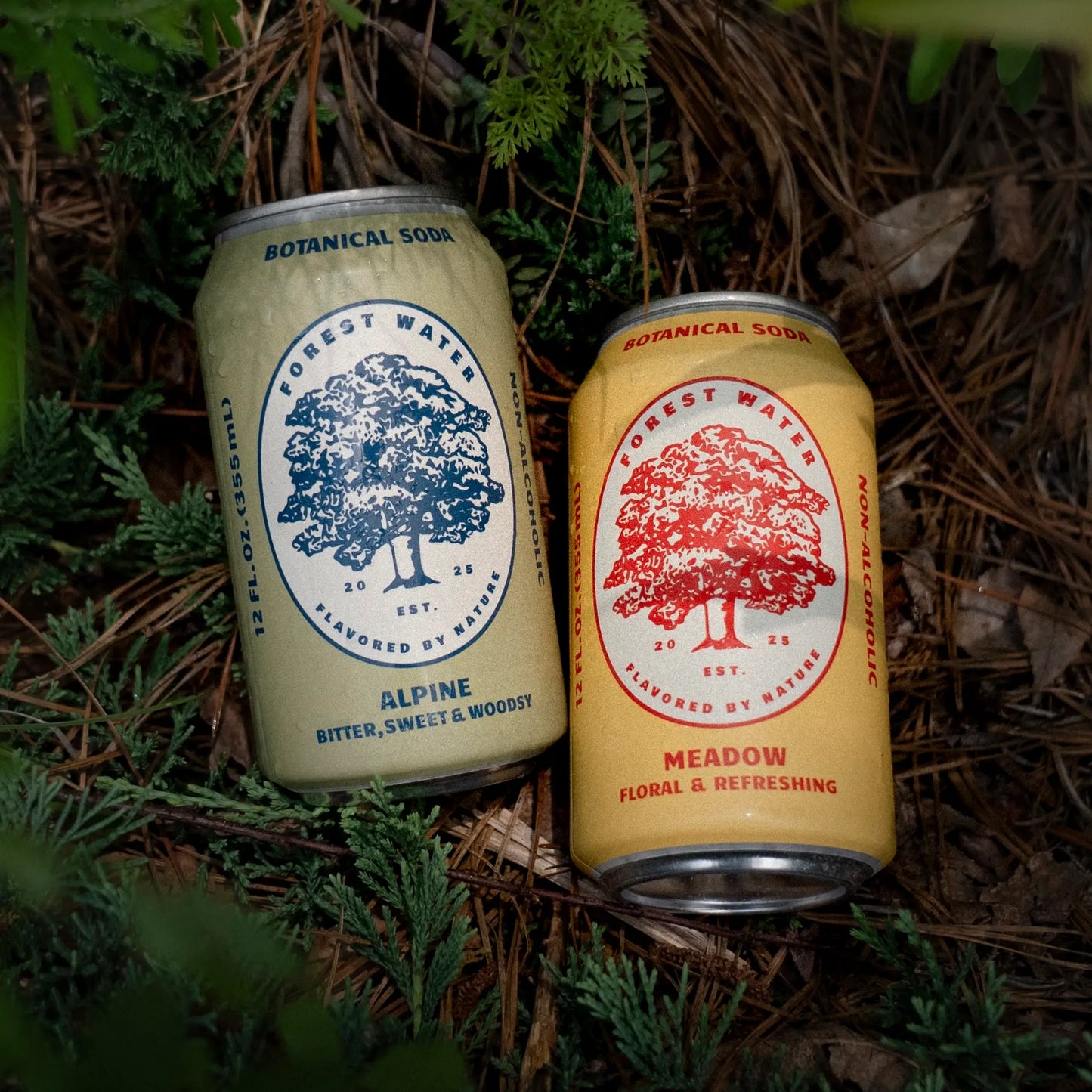 Walker Brothers Botanical Soda