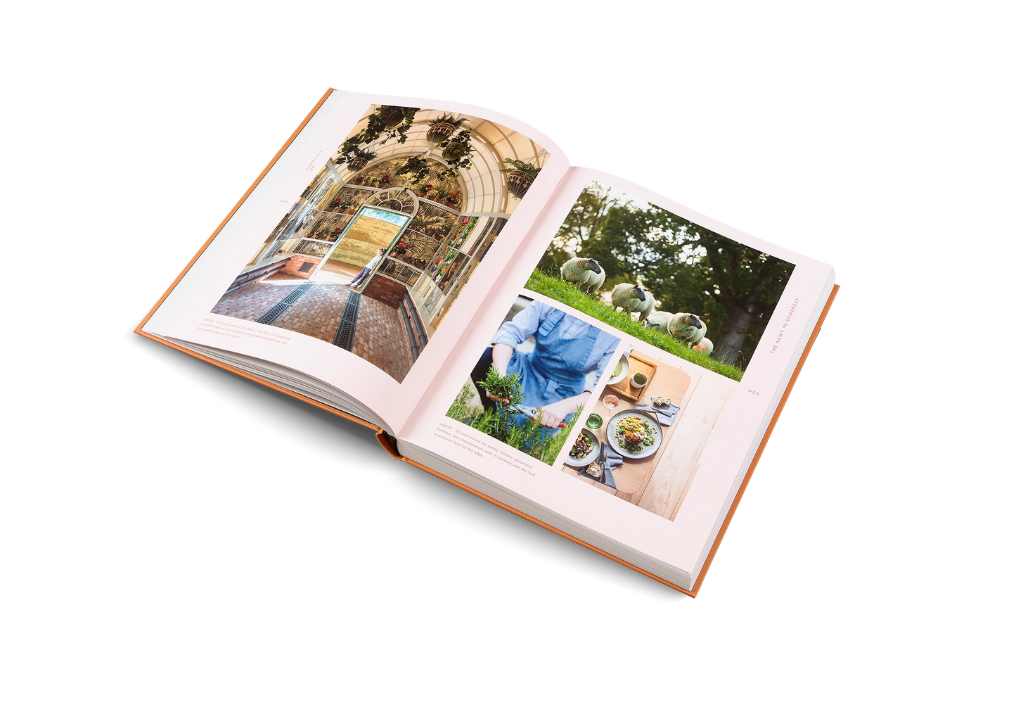 Slow Escapes Book