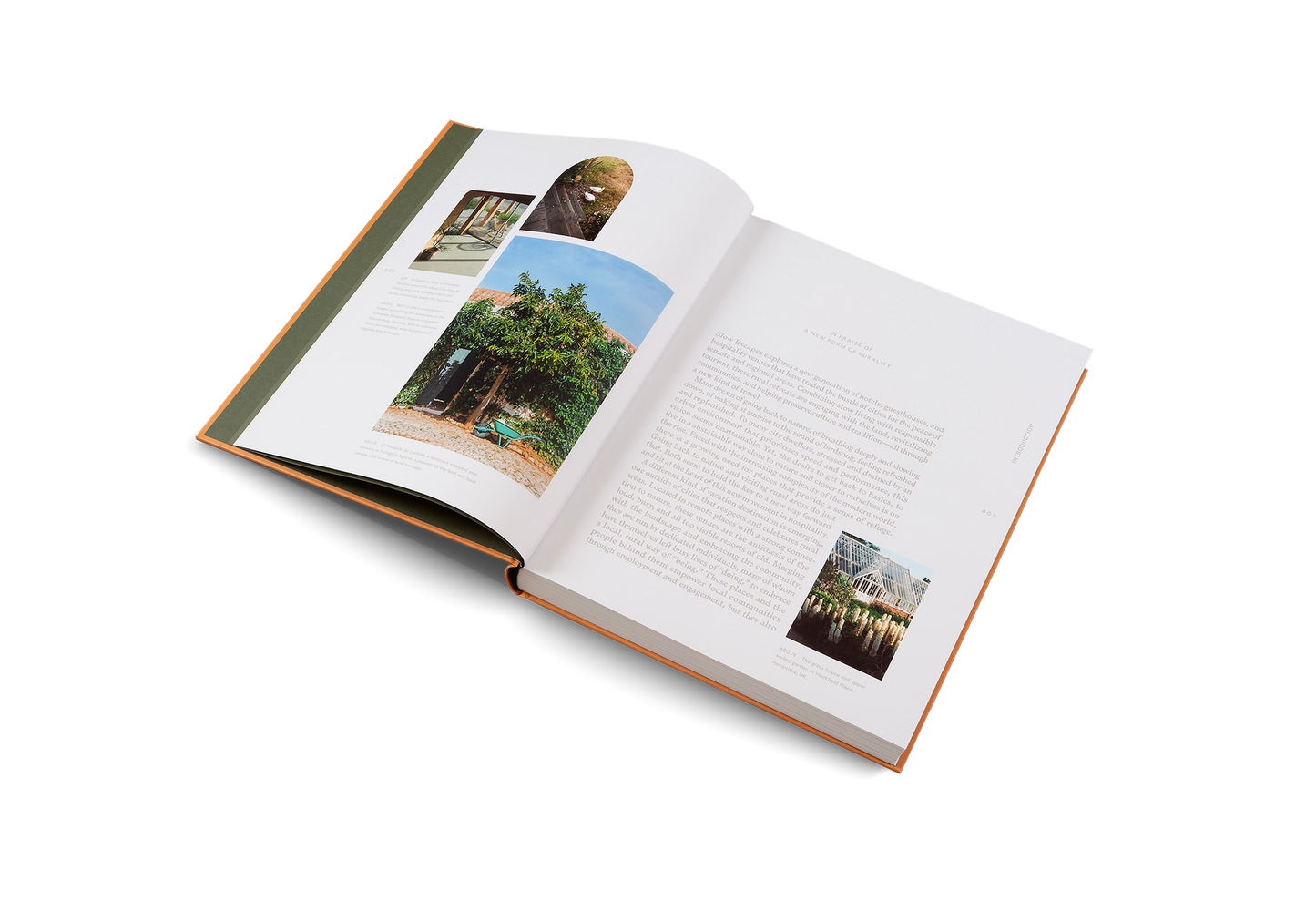 Slow Escapes Book