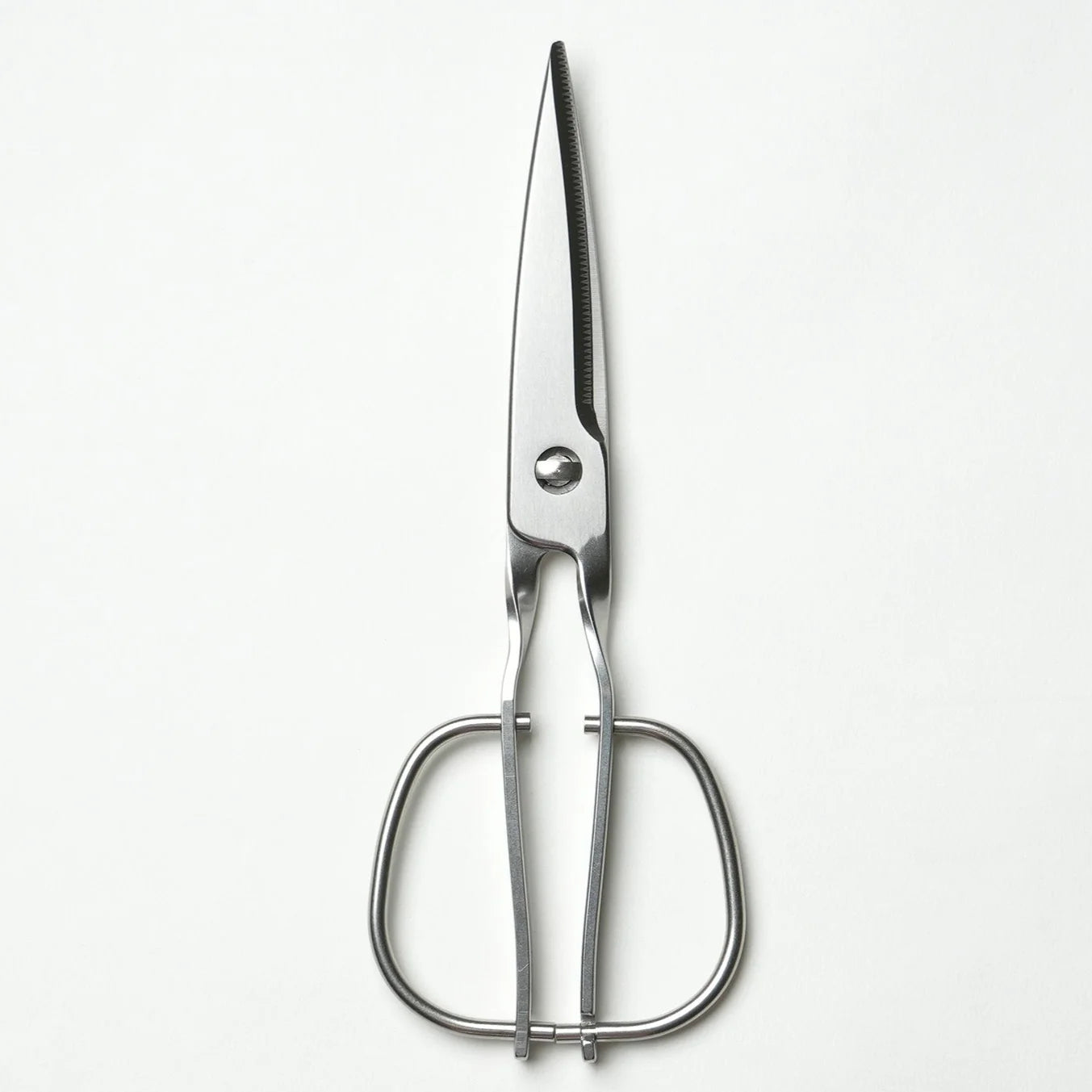 Kitchen Scissors