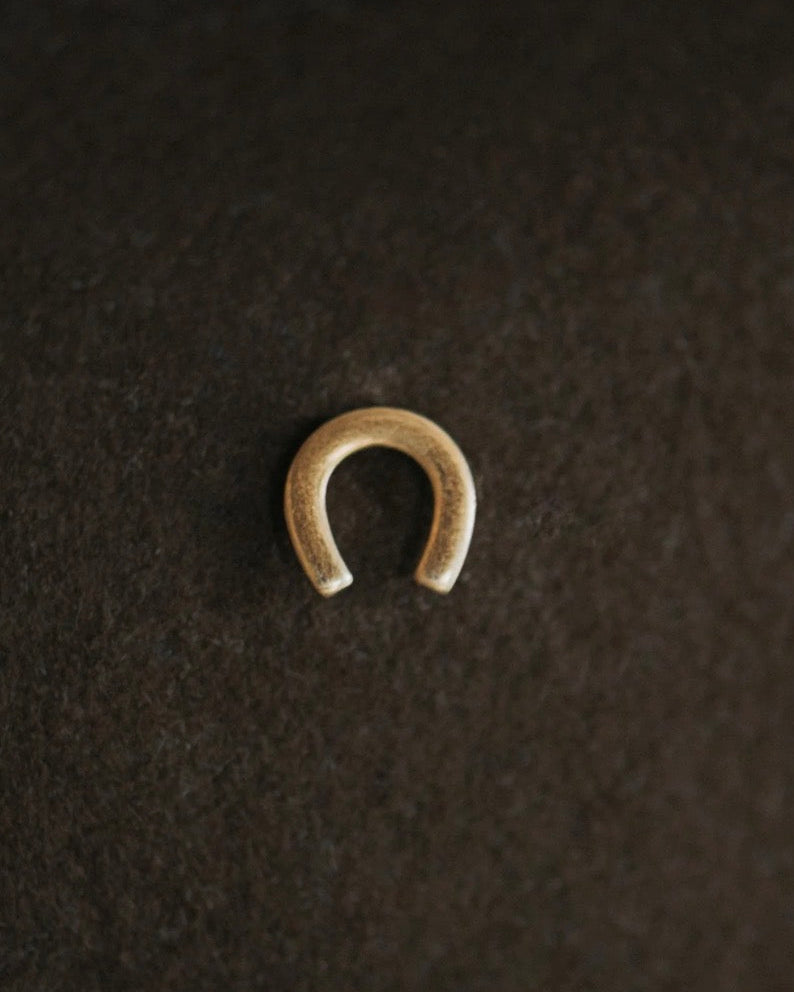Horseshoe Hat Pin