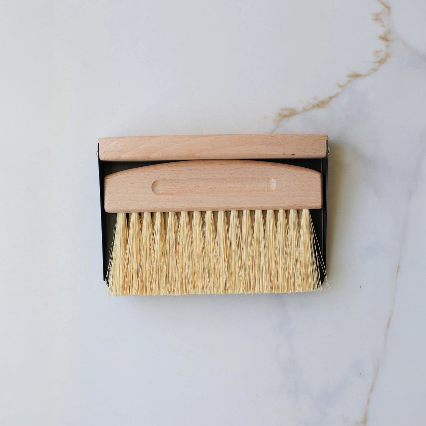 Mini Dustpan & Brush