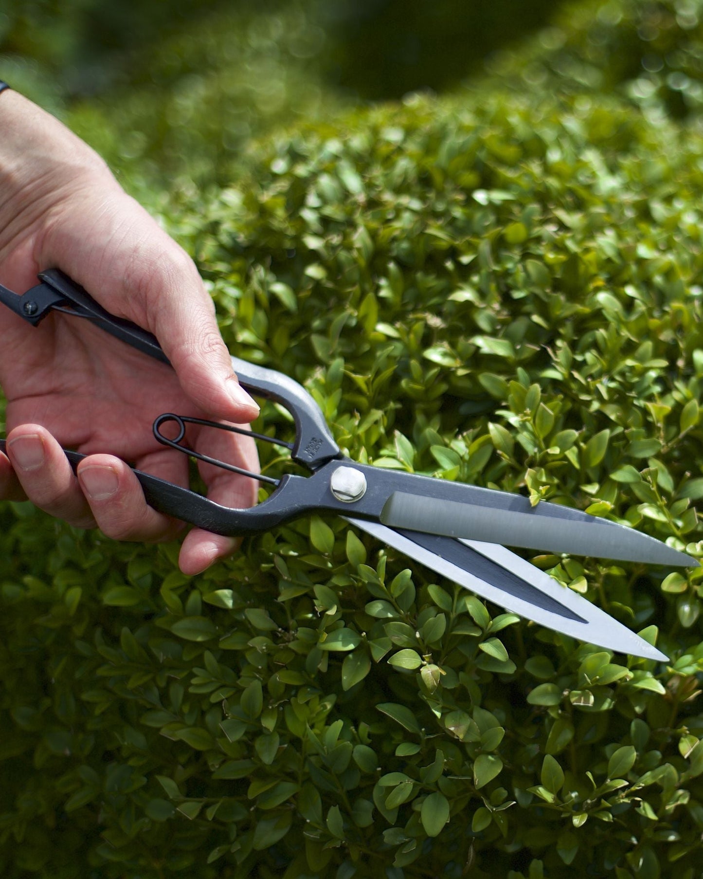 Sentei Topiary Clippers