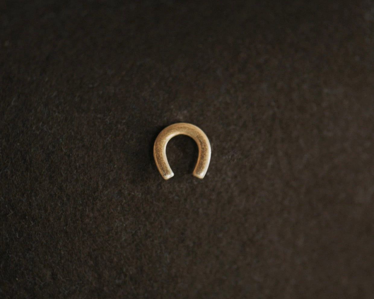 Horseshoe Hat Pin