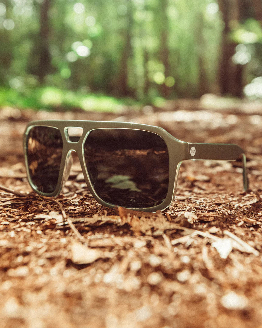 Paladino Polarized Sunglasses