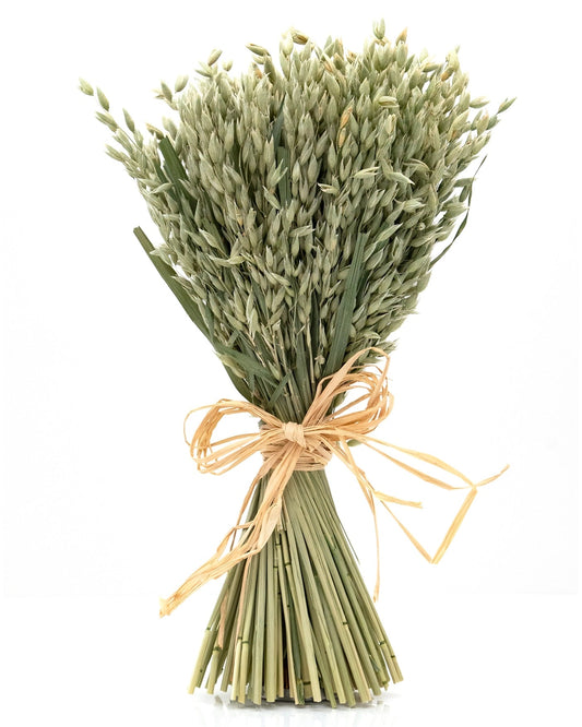 Oat Bouquet