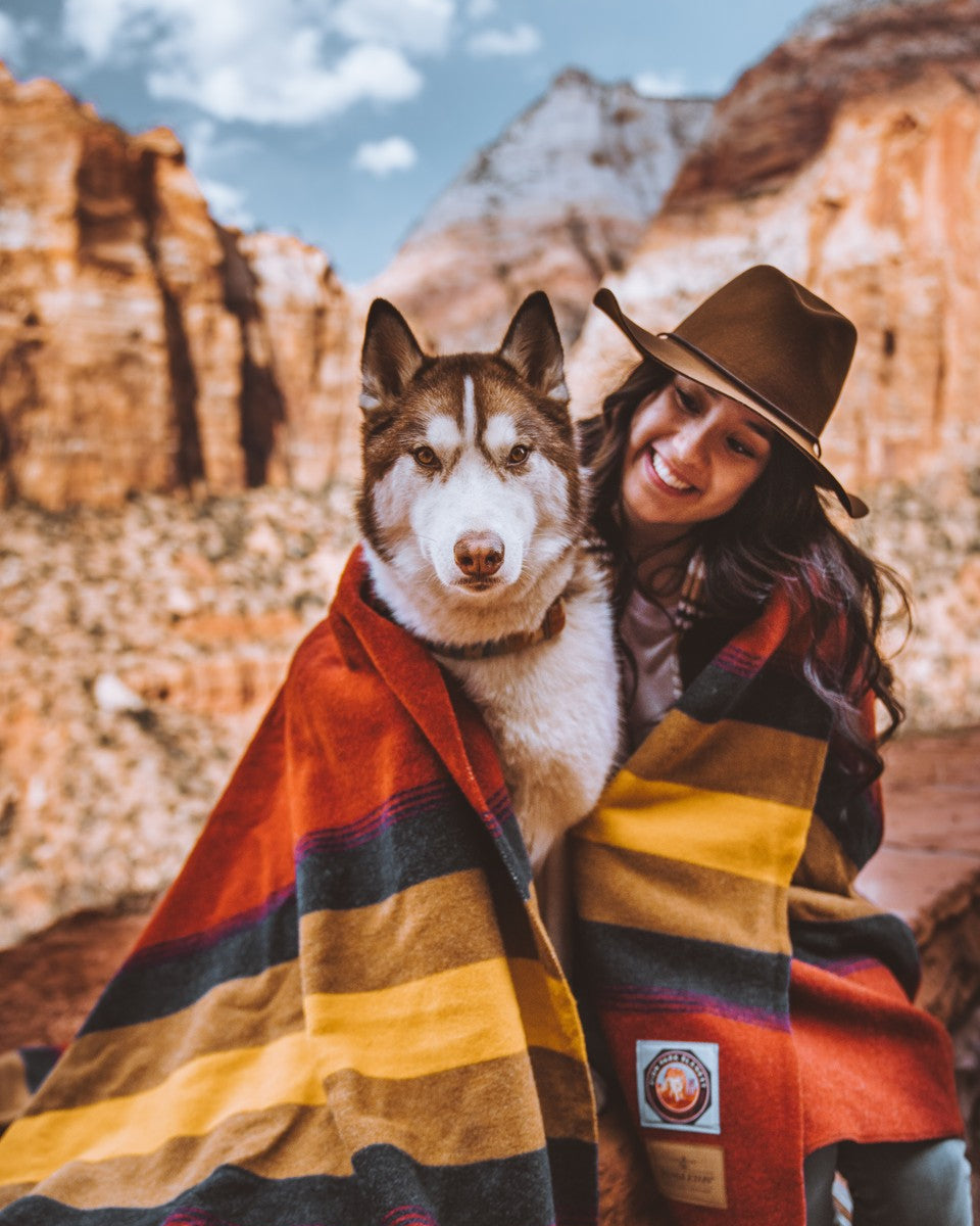 Pendleton National Park Blanket - ZION