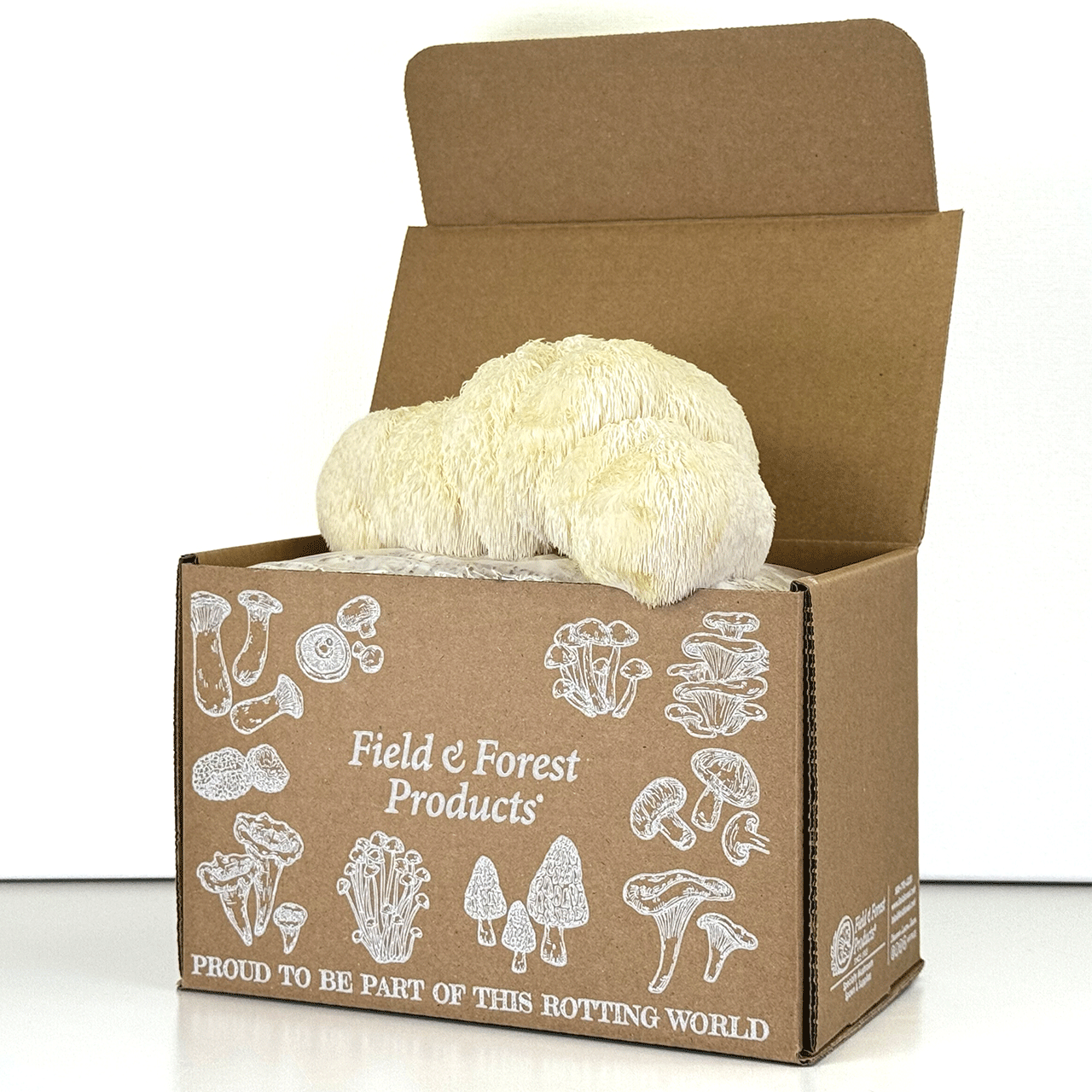 Tabletop Mushroom Farm