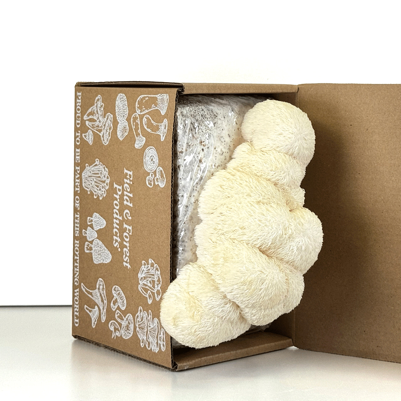 Tabletop Mushroom Farm