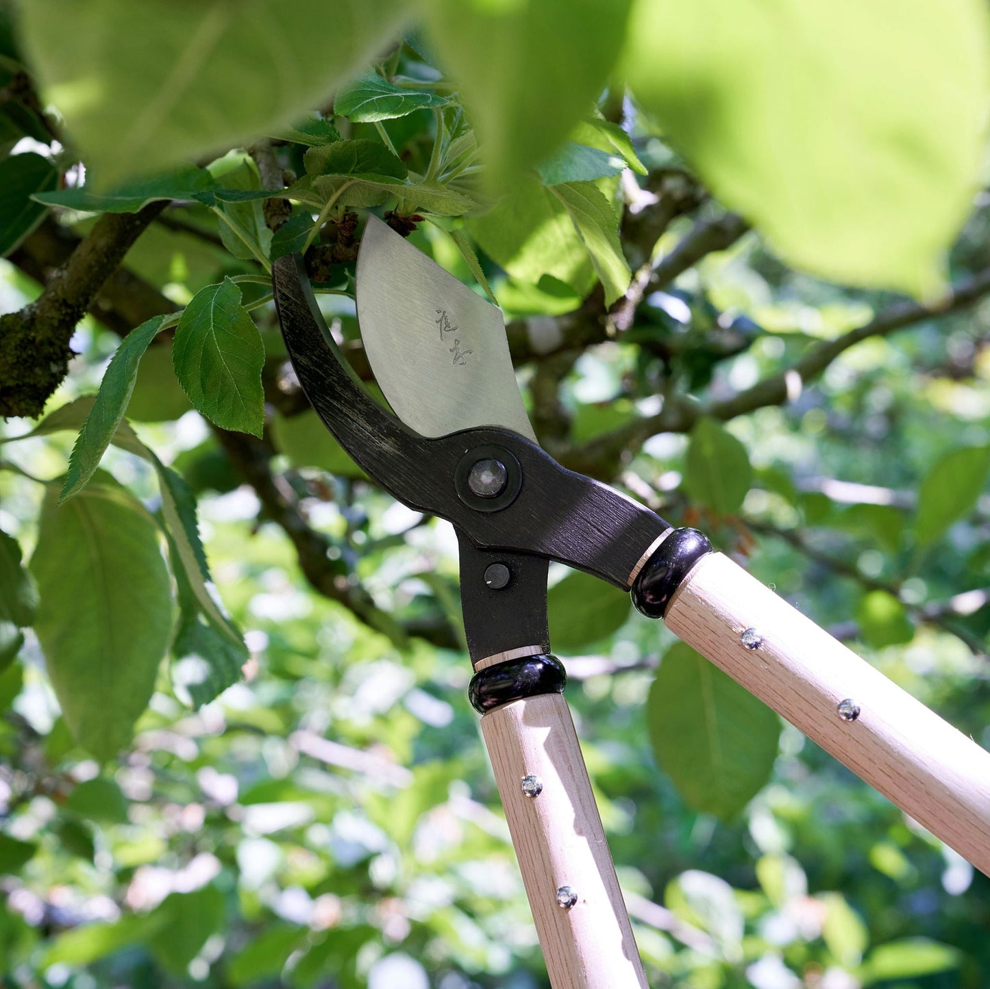 Pruning Lopper