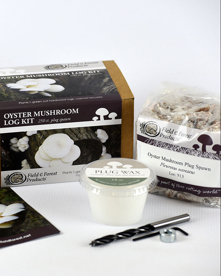 Mushroom Plug Spawn Starter Kit
