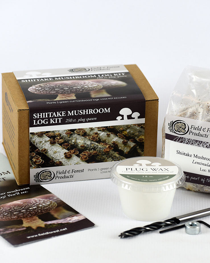 Mushroom Plug Spawn Starter Kit